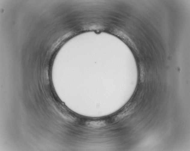 X0000070380251200607072201