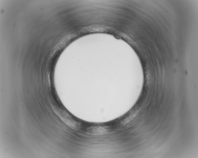 X0000070380254200607072201