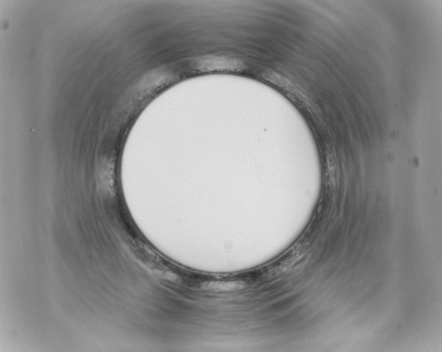 X0000070380255200607072201