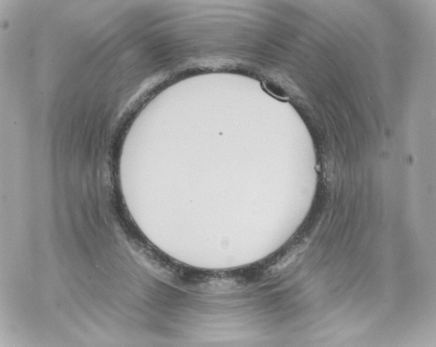 X0000070380256200607072201