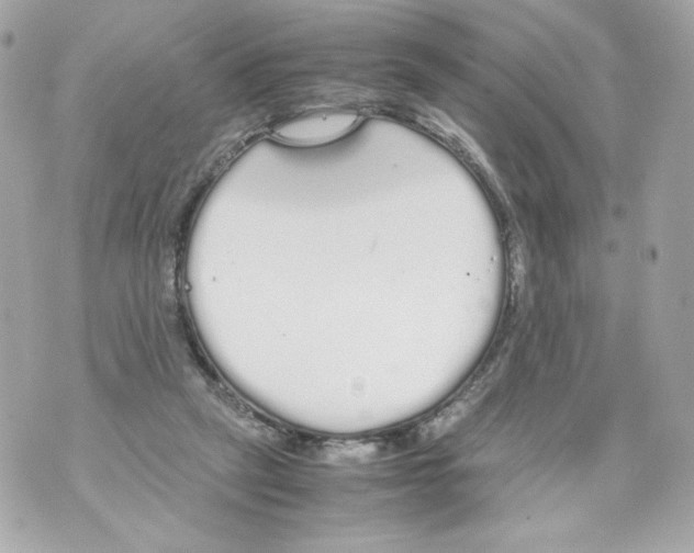 X0000070380257200607072201