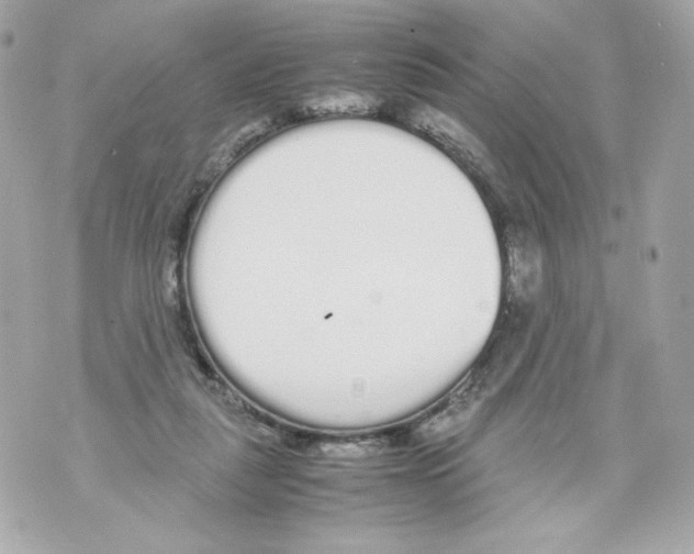 X0000070380259200607072201