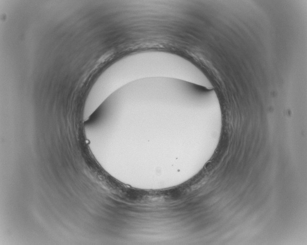 X0000070380260200607072201