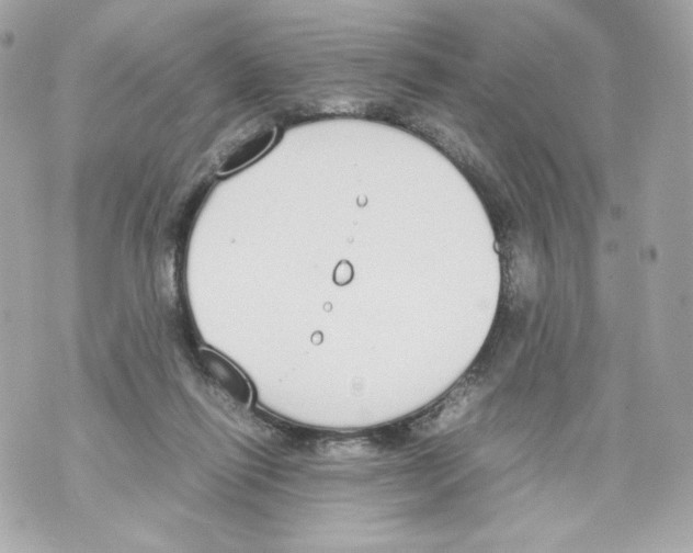 X0000070380262200607072201