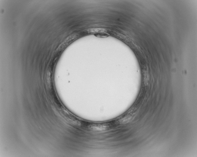 X0000070380263200607072201