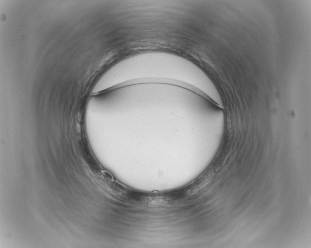 X0000070380264200607072201