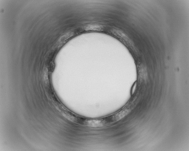 X0000070380265200607072201