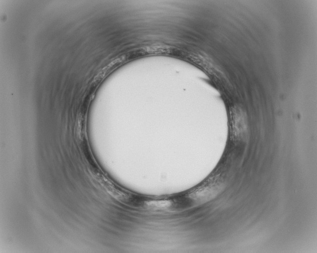 X0000070380266200607072201