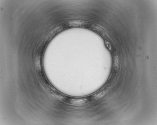 X0000070380267200607072201