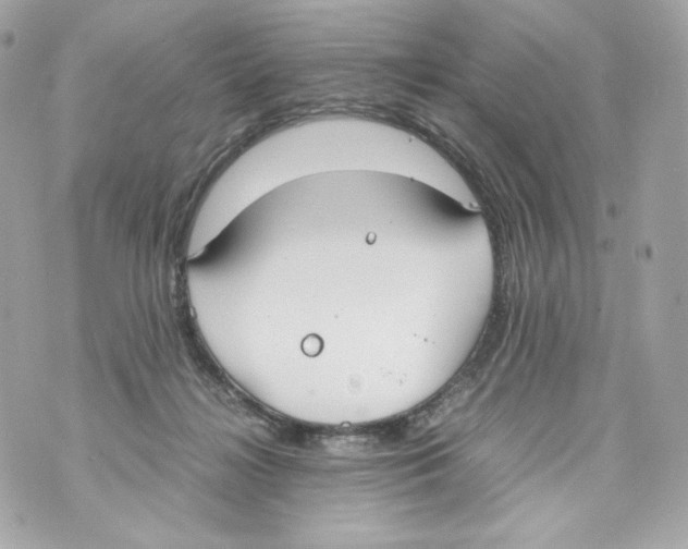 X0000070380268200607072201