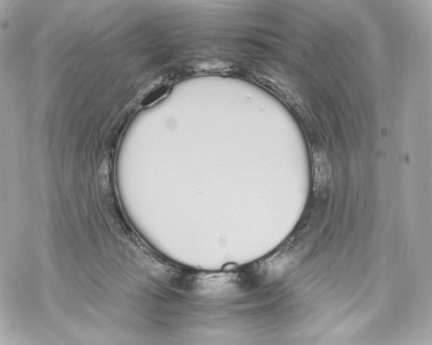 X0000070380269200607072201