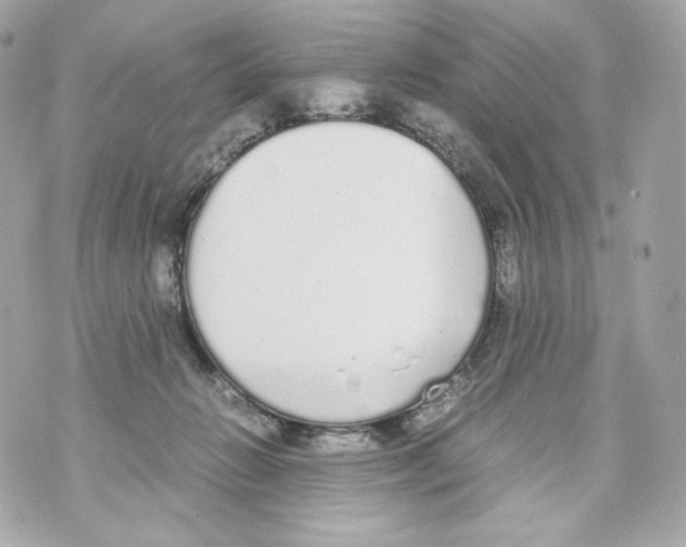 X0000070380270200607072201