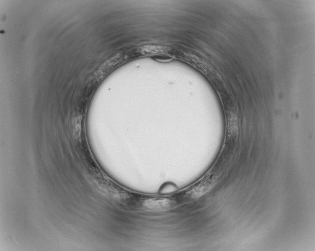 X0000070380271200607072201