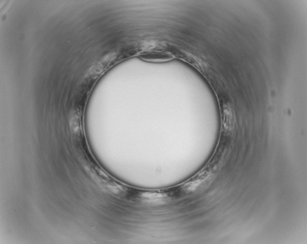 X0000070380272200607072201