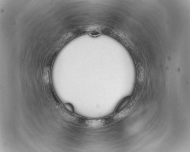 X0000070380273200607072201