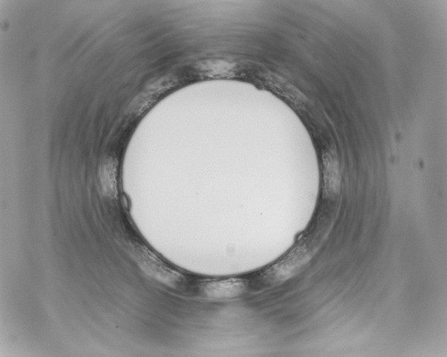 X0000070380274200607072201