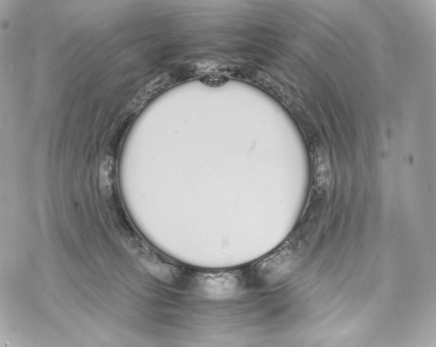 X0000070380275200607072201