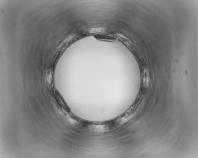 X0000070380276200607072201