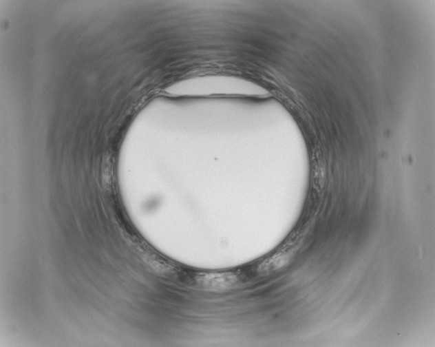 X0000070380277200607072201