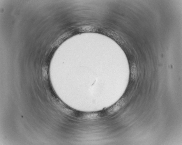 X0000070380278200607072201