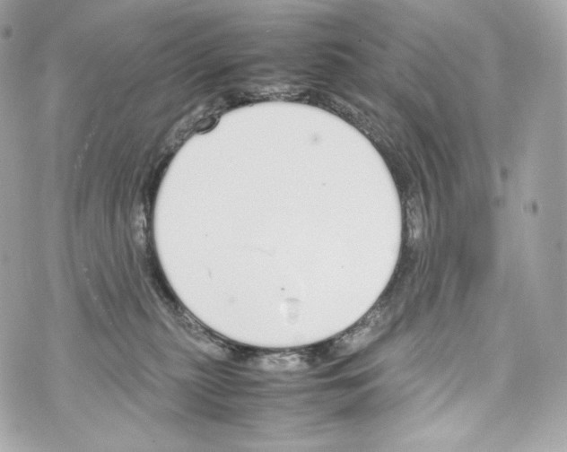 X0000070380279200607072201