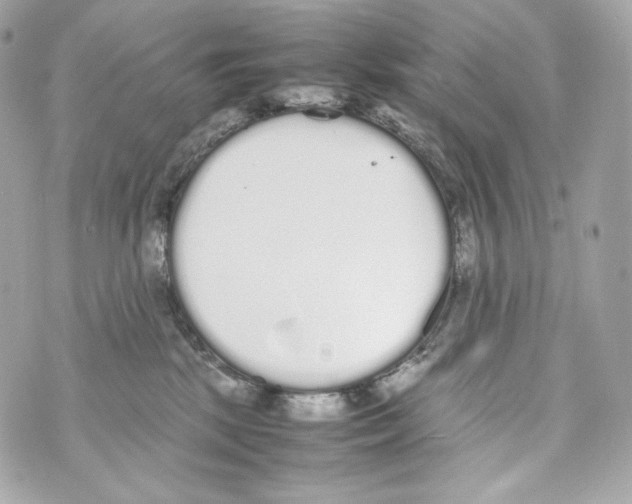 X0000070380281200607072201