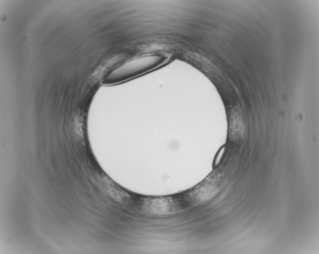 X0000070380282200607072202