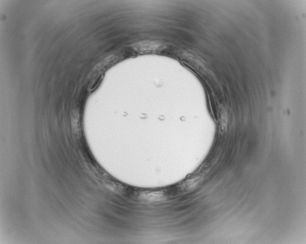 X0000070380283200607072202