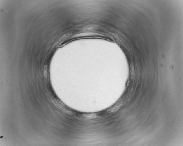 X0000070380284200607072202