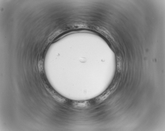 X0000070380285200607072202