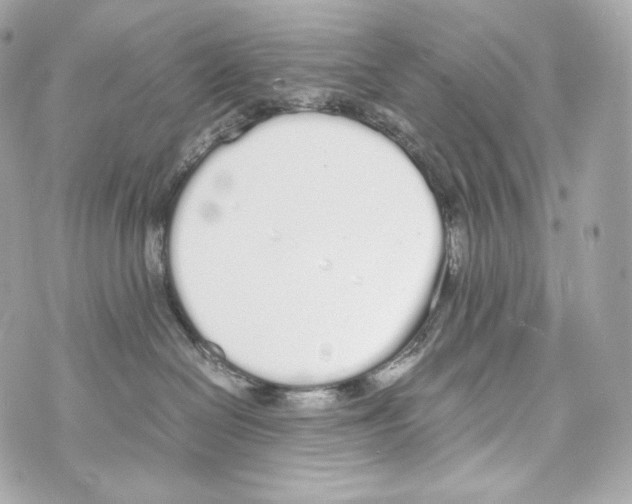 X0000070380286200607072202