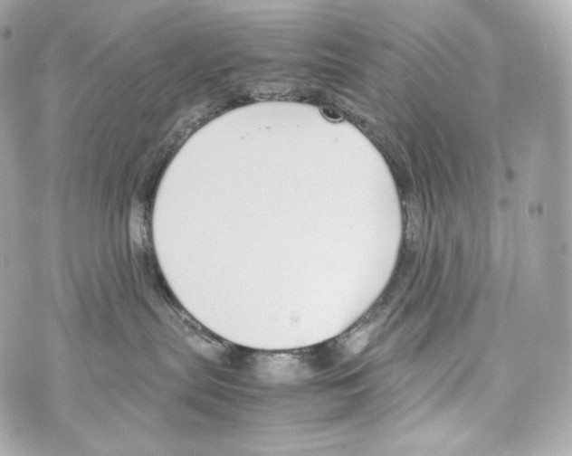 X0000070380287200607072202