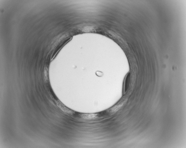 X0000070380288200607072202