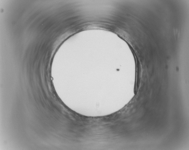 X0000070380289200607072201