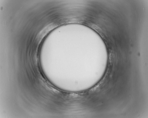 X0000070380290200607072201