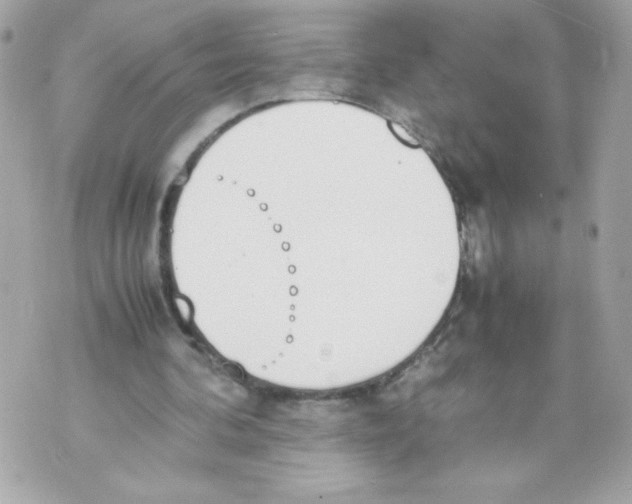 X0000070380292200607072201