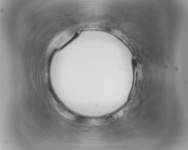 X0000070380293200607072201