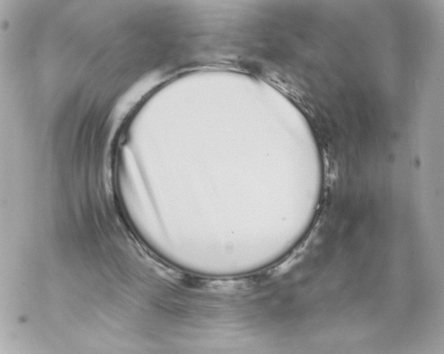 X0000070380294200607072201