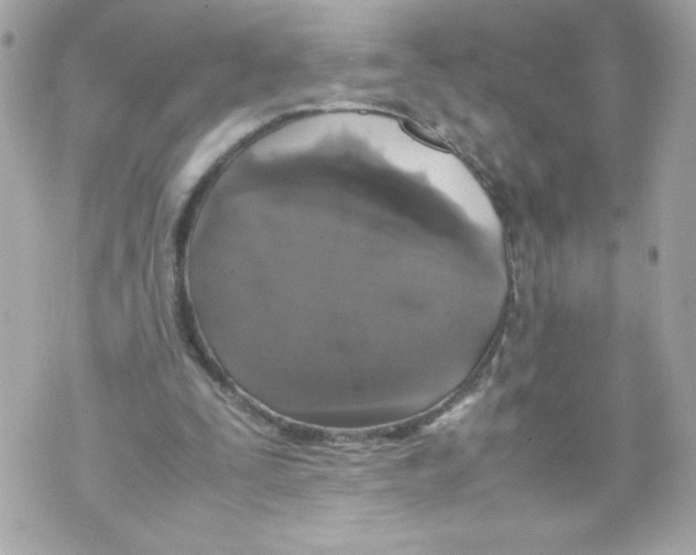 X0000070380295200607072201