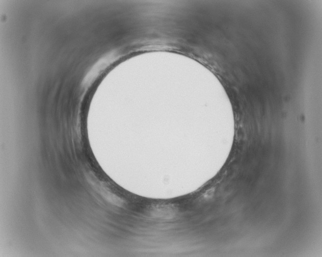 X0000070380296200607072201