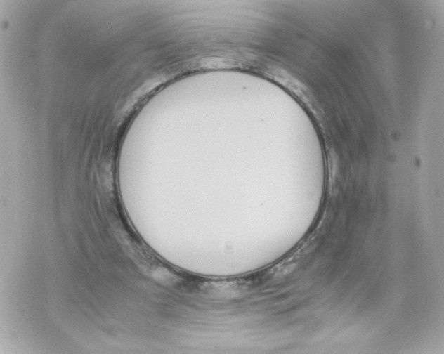 X0000070380297200607072201