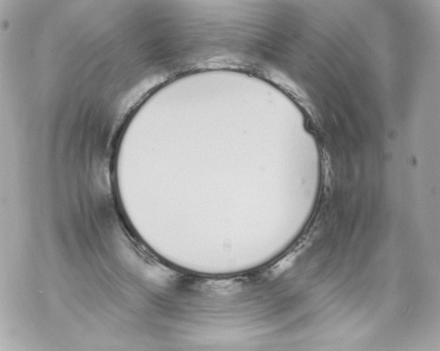 X0000070380298200607072201