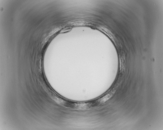 X0000070380301200607072201