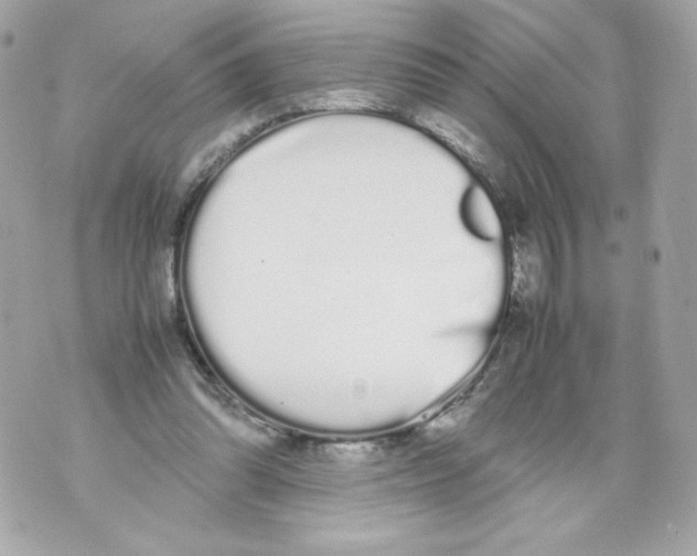 X0000070380302200607072201