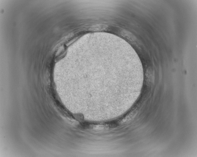 X0000070380303200607072201