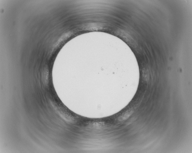 X0000070380304200607072201