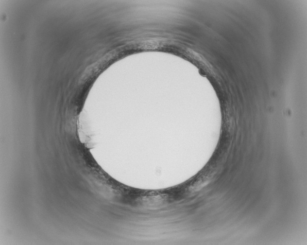 X0000070380307200607072201