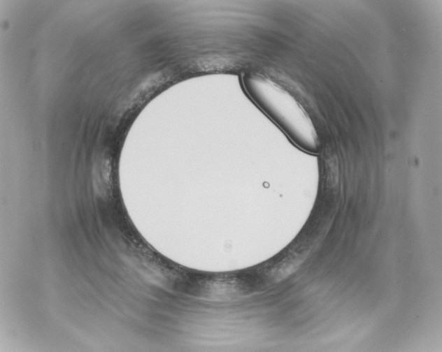 X0000070380308200607072201