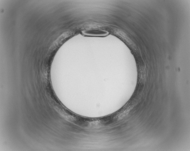 X0000070380309200607072200