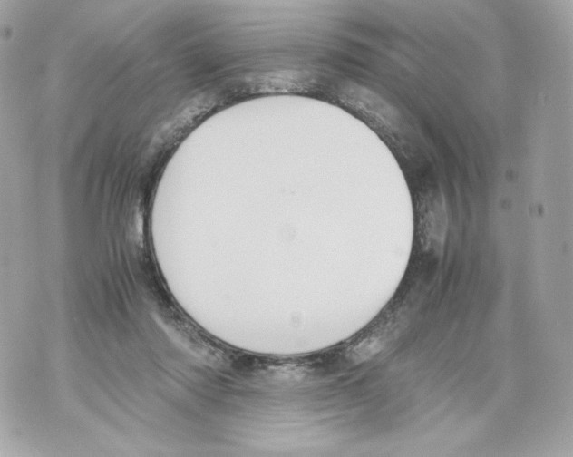 X0000070380310200607072200